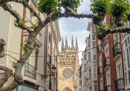 manoloblasco-cathedral-7278228_1920